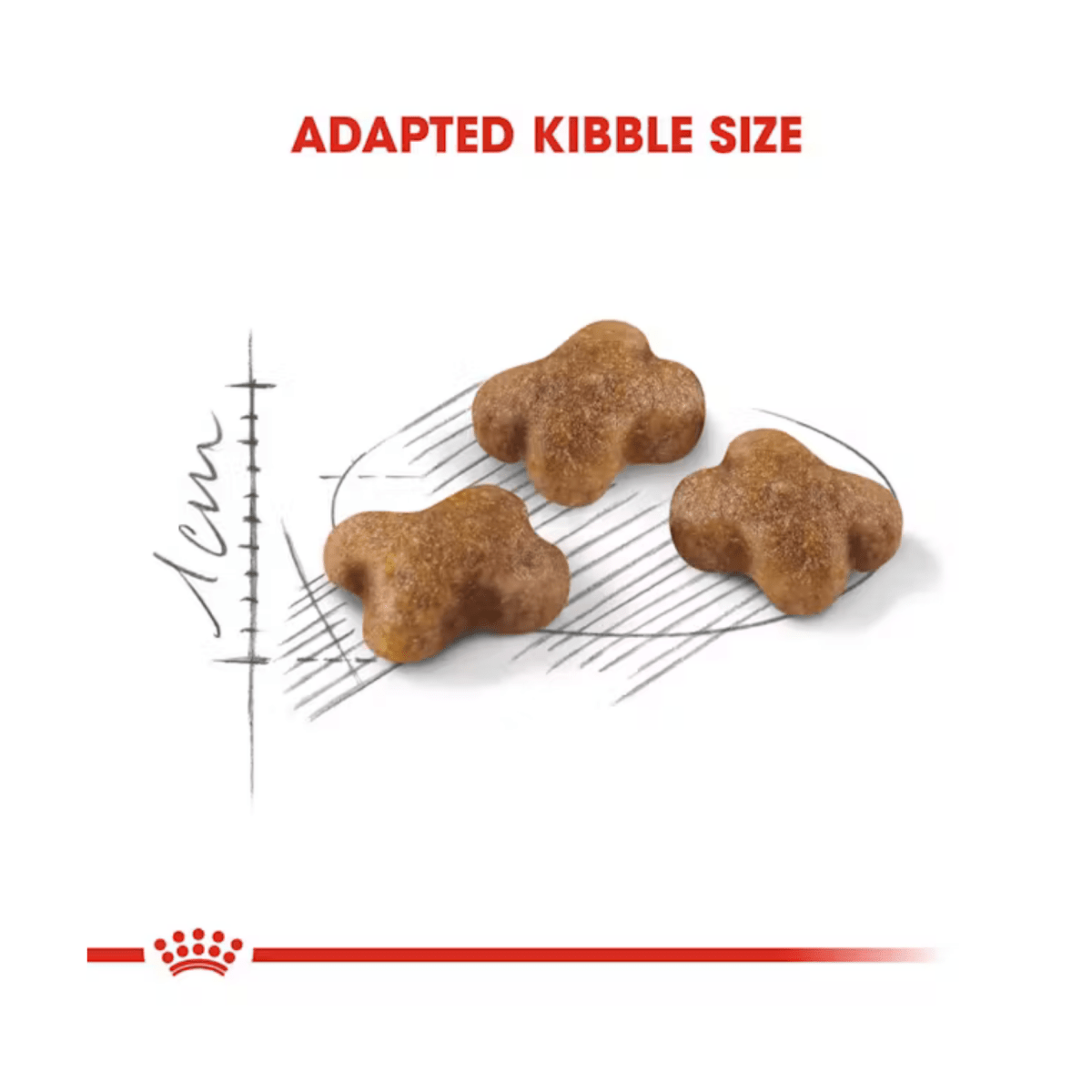 Royal Canin Dry Kitten Food - Pet Supply